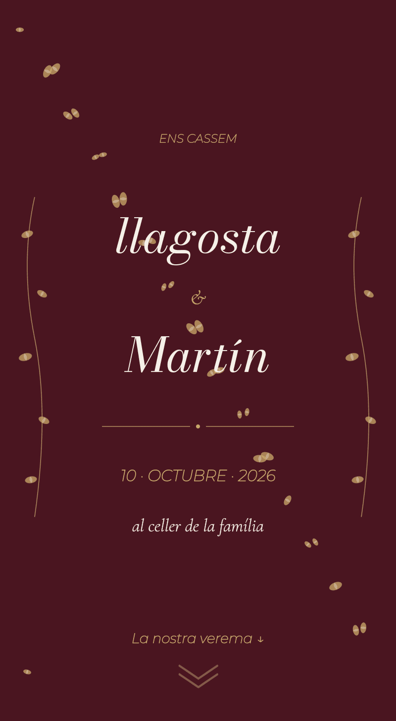 Casament — Vinyet — Portada