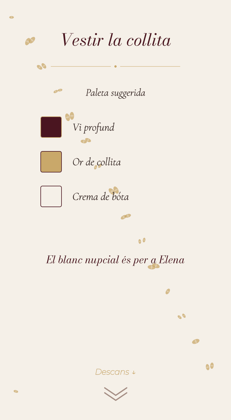 Casament — Vinyet — Vestir la collita