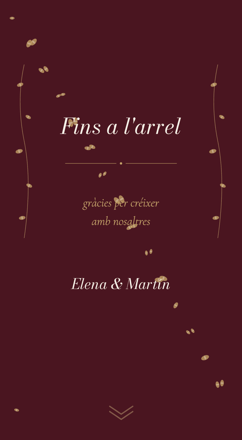 Casament — Vinyet — Fins a l'arrel
