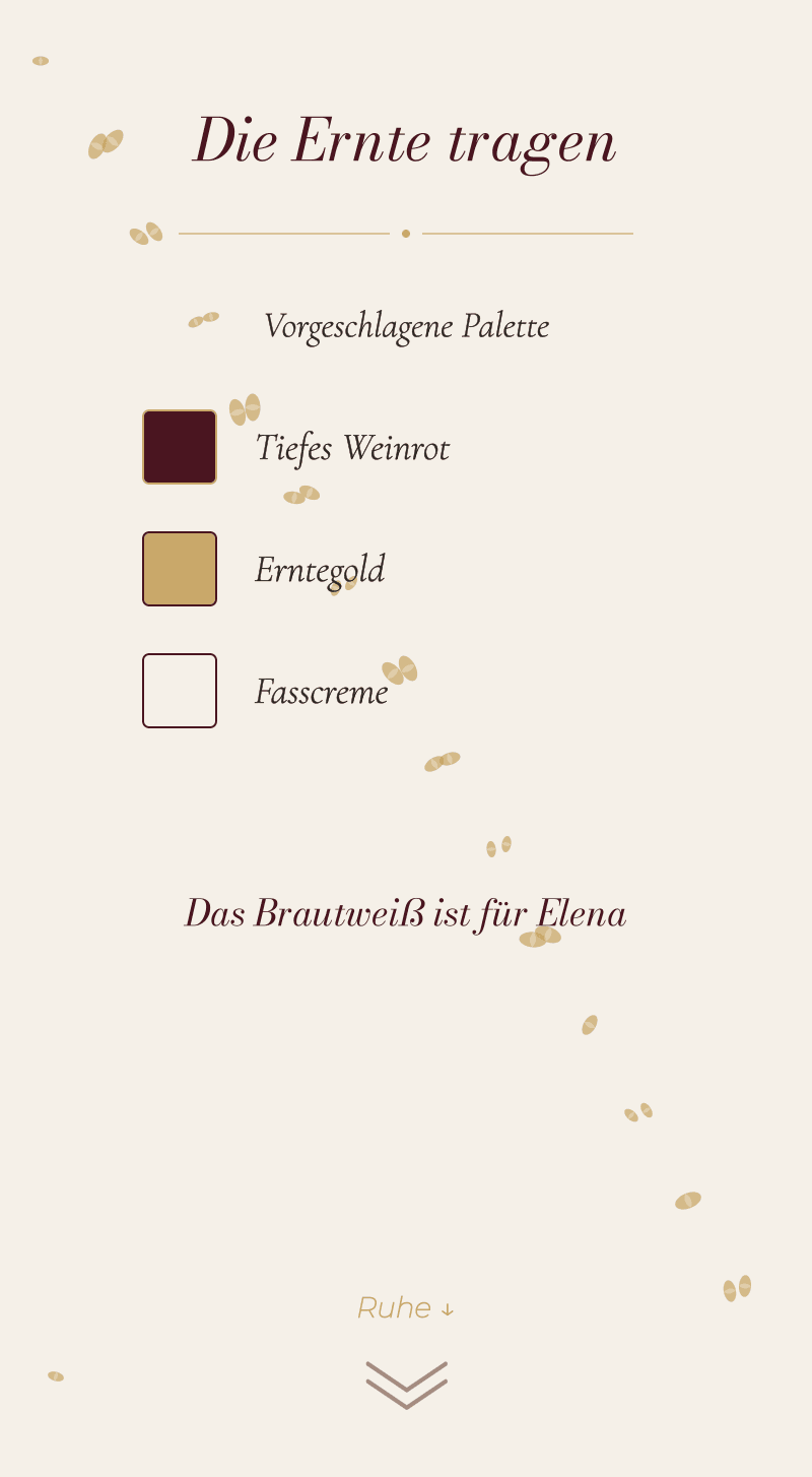 Hochzeit — Weinberg — Kleidung für die Ernte