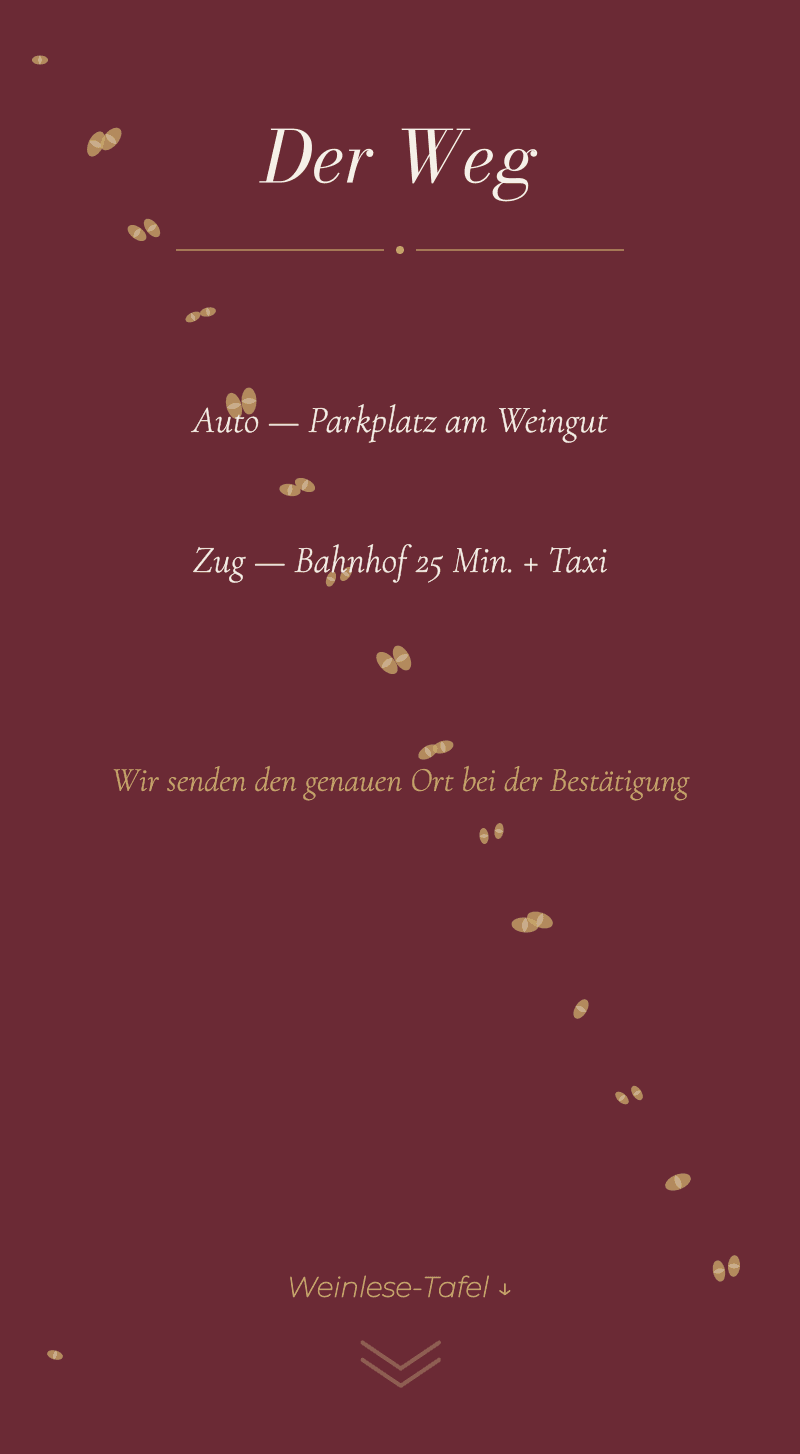 Hochzeit — Weinberg — Der Weg