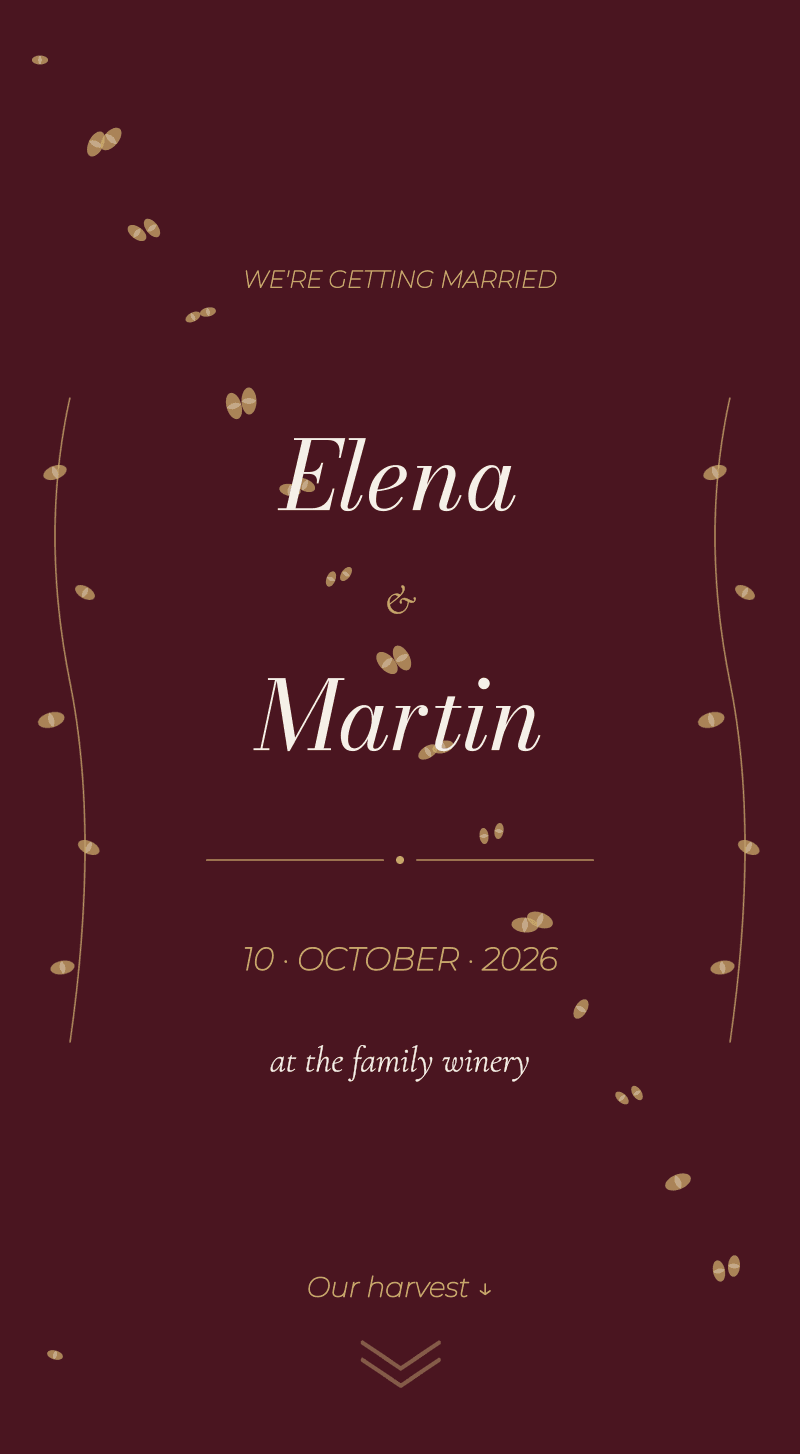 Wedding — Vineyard — Cover