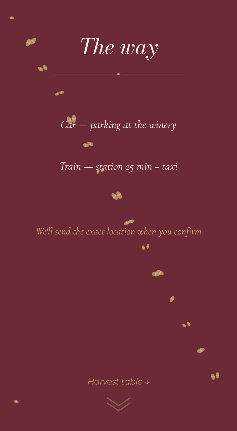 Wedding — Vineyard — The way