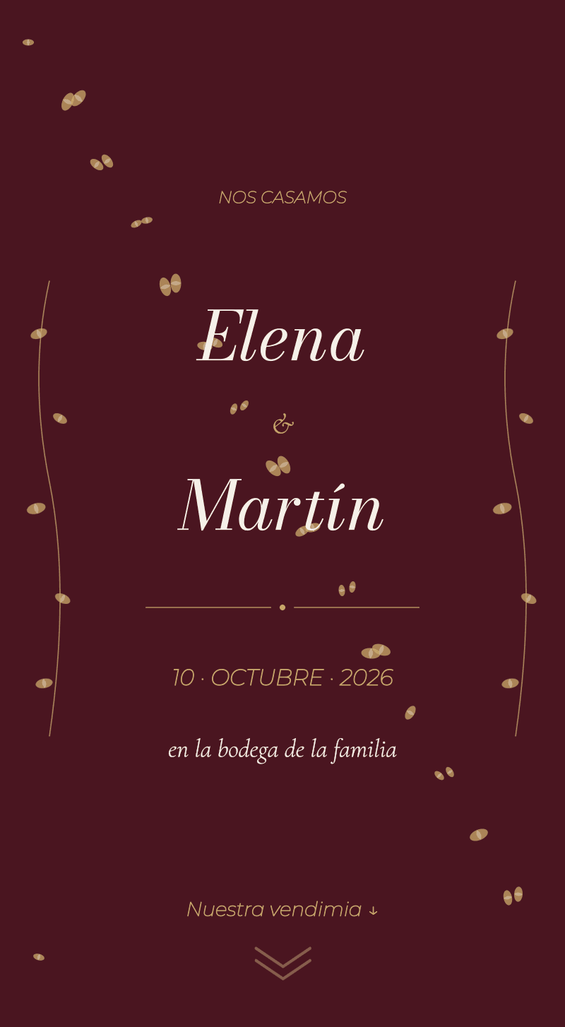 Boda — Viñedo — Portada