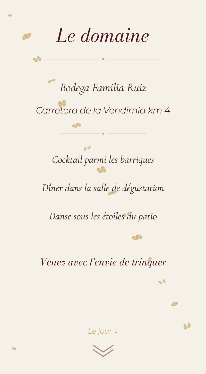 Mariage — Vignoble — La cave