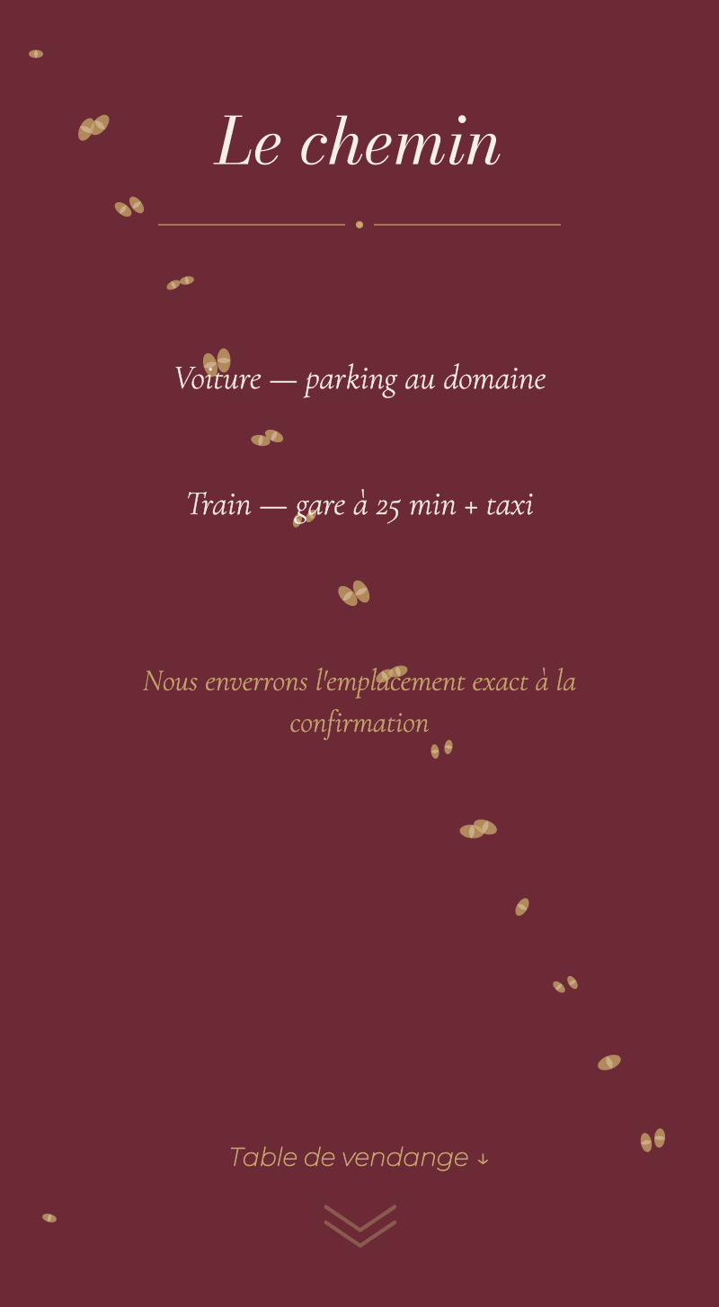 Mariage — Vignoble — Le chemin