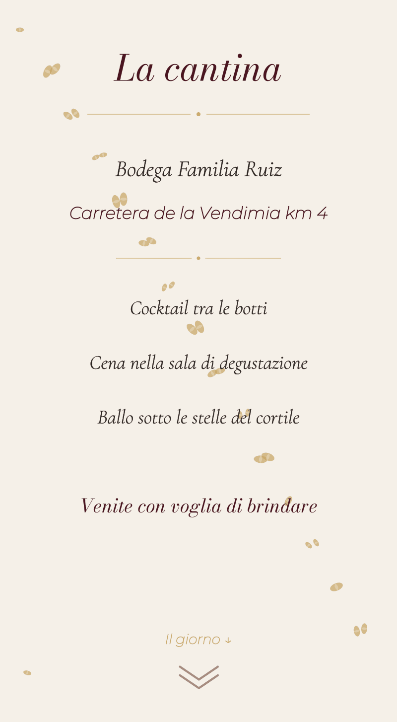 Matrimonio — Vigneto — La cantina