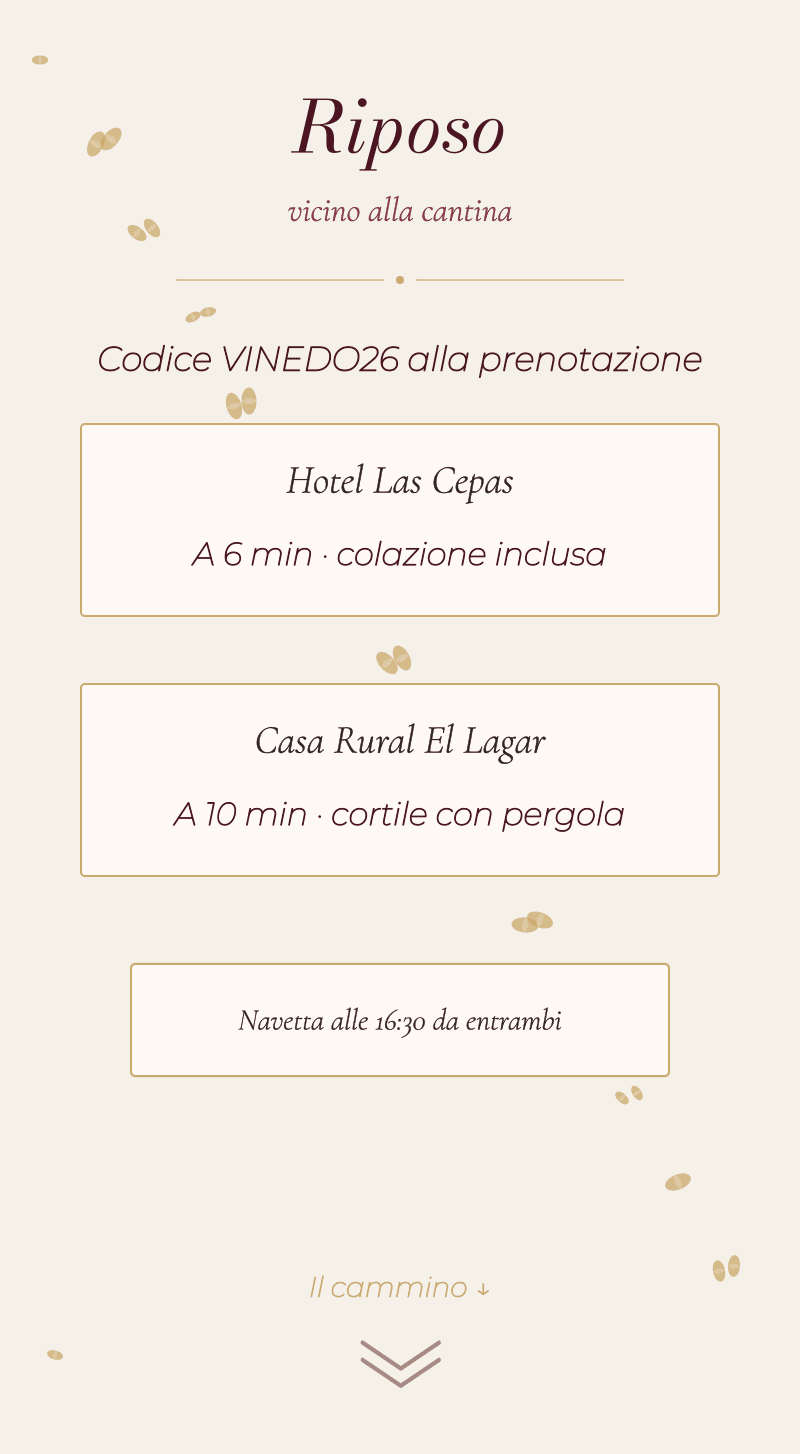 Matrimonio — Vigneto — Intervallo