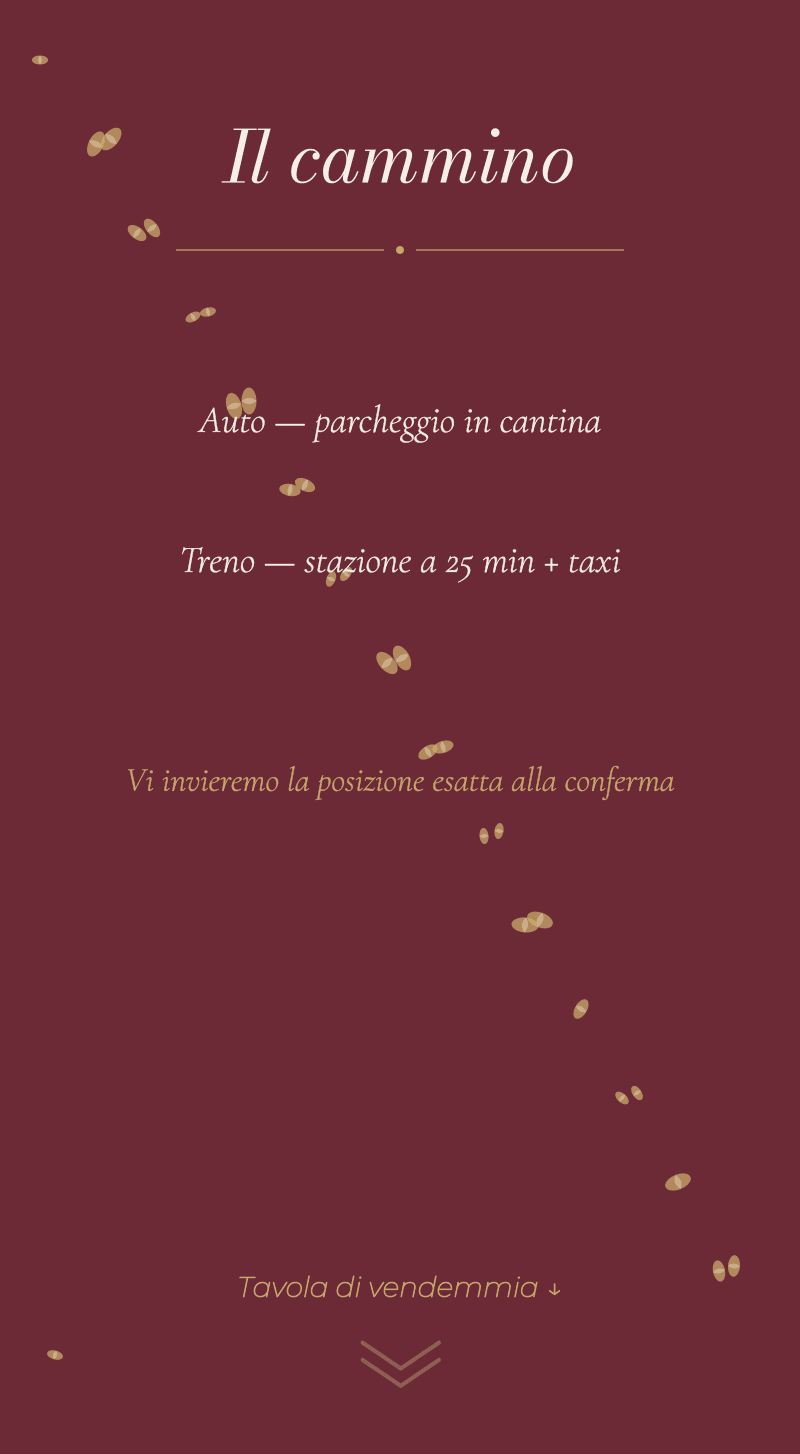 Matrimonio — Vigneto — Il cammino
