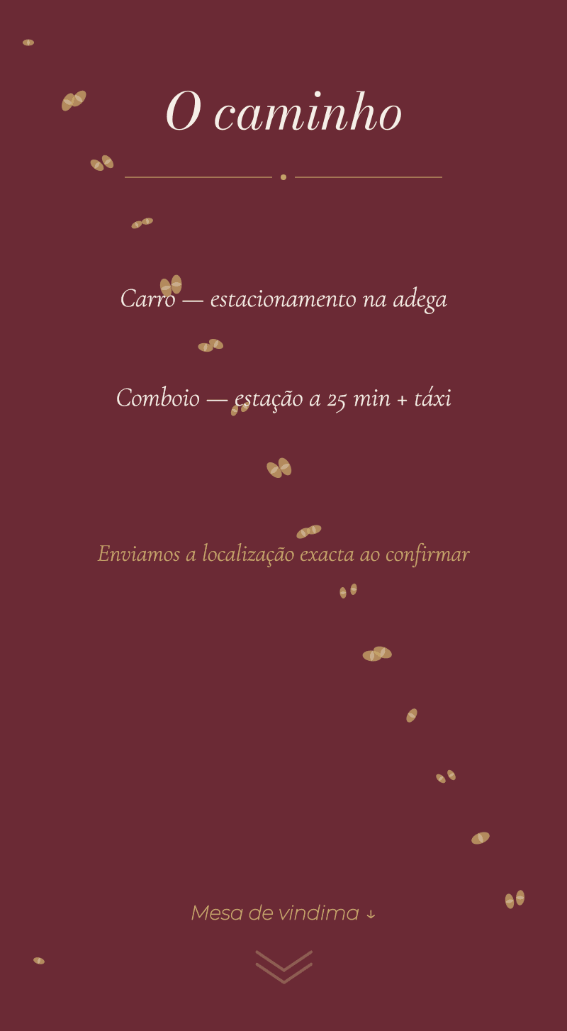 Casamento — Vinhedo — O caminho