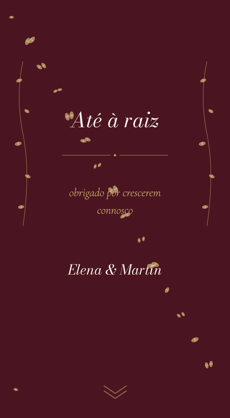 Casamento — Vinhedo — Até à raiz