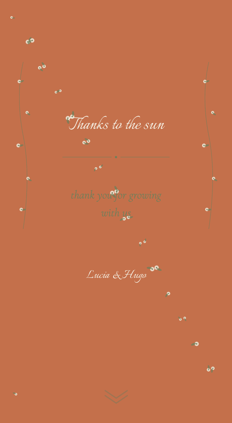 Wedding — Orange Blossom — Thanks to the sun