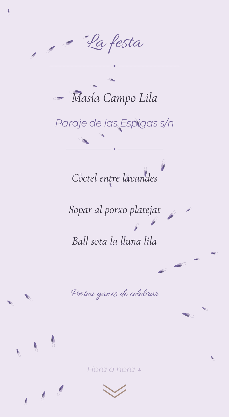 Casament — Lavanda — La festa