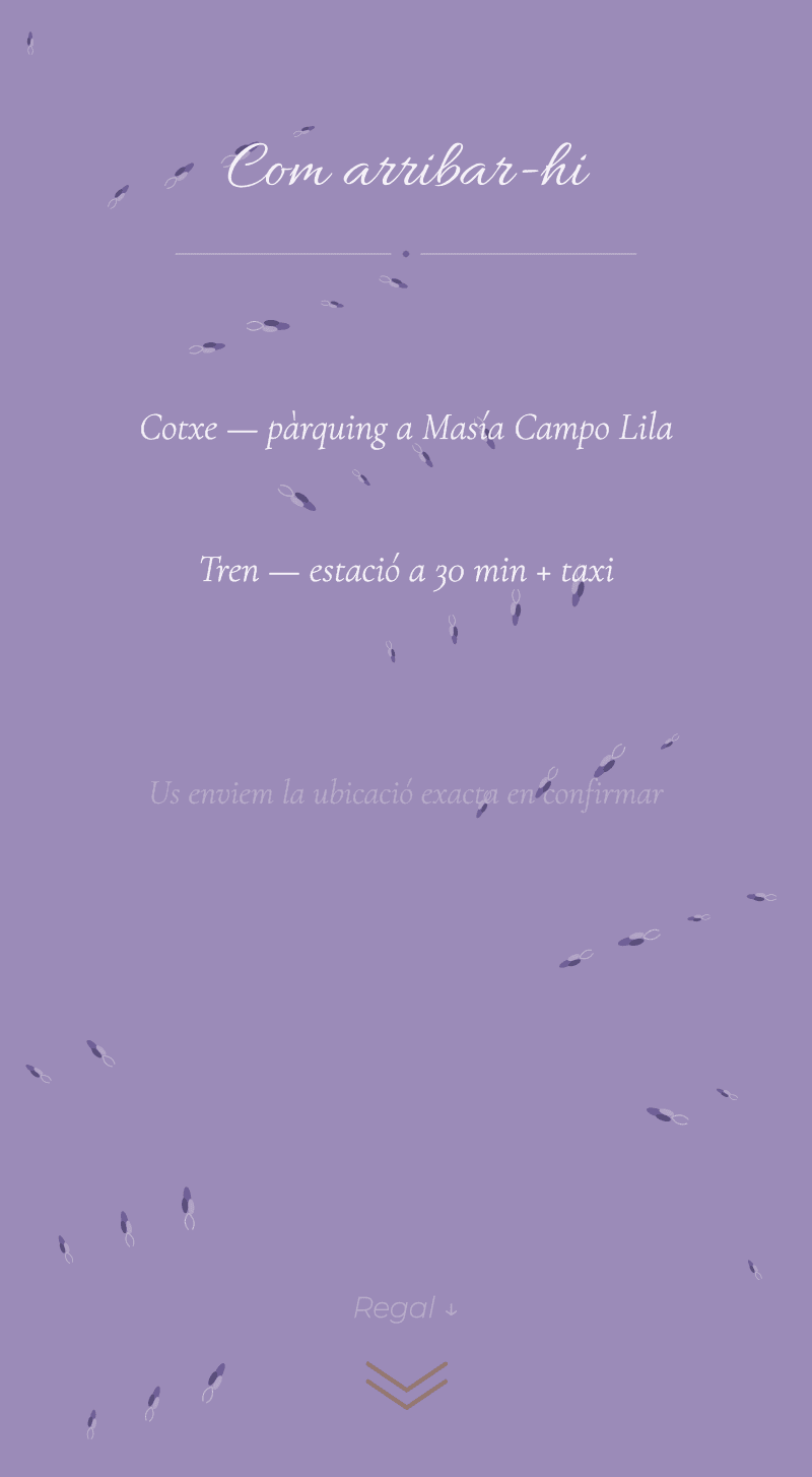 Casament — Lavanda — Com arribar-hi