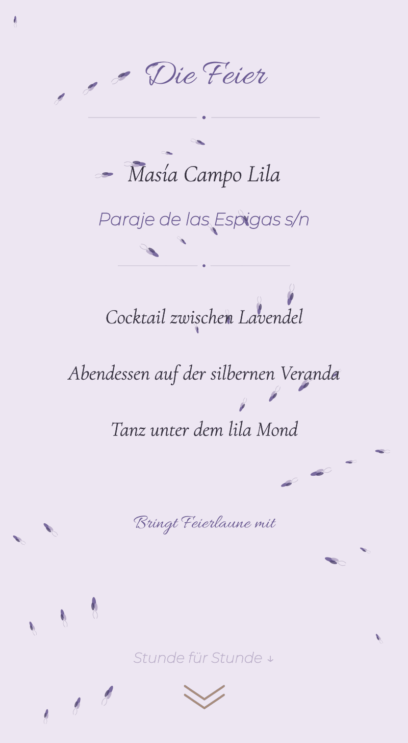 Hochzeit — Lavendel — Die Party