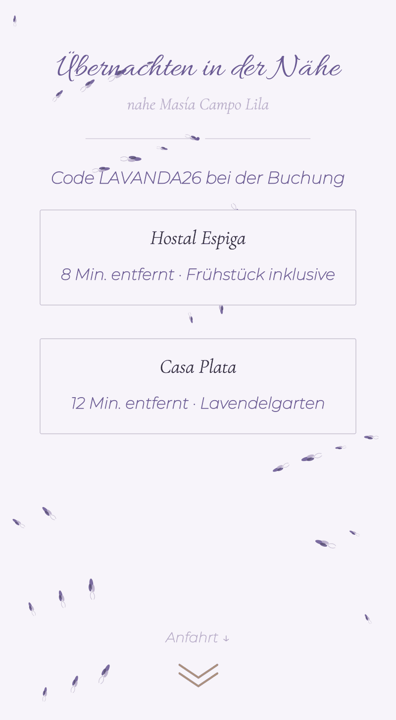 Hochzeit — Lavendel — In der Nähe übernachten