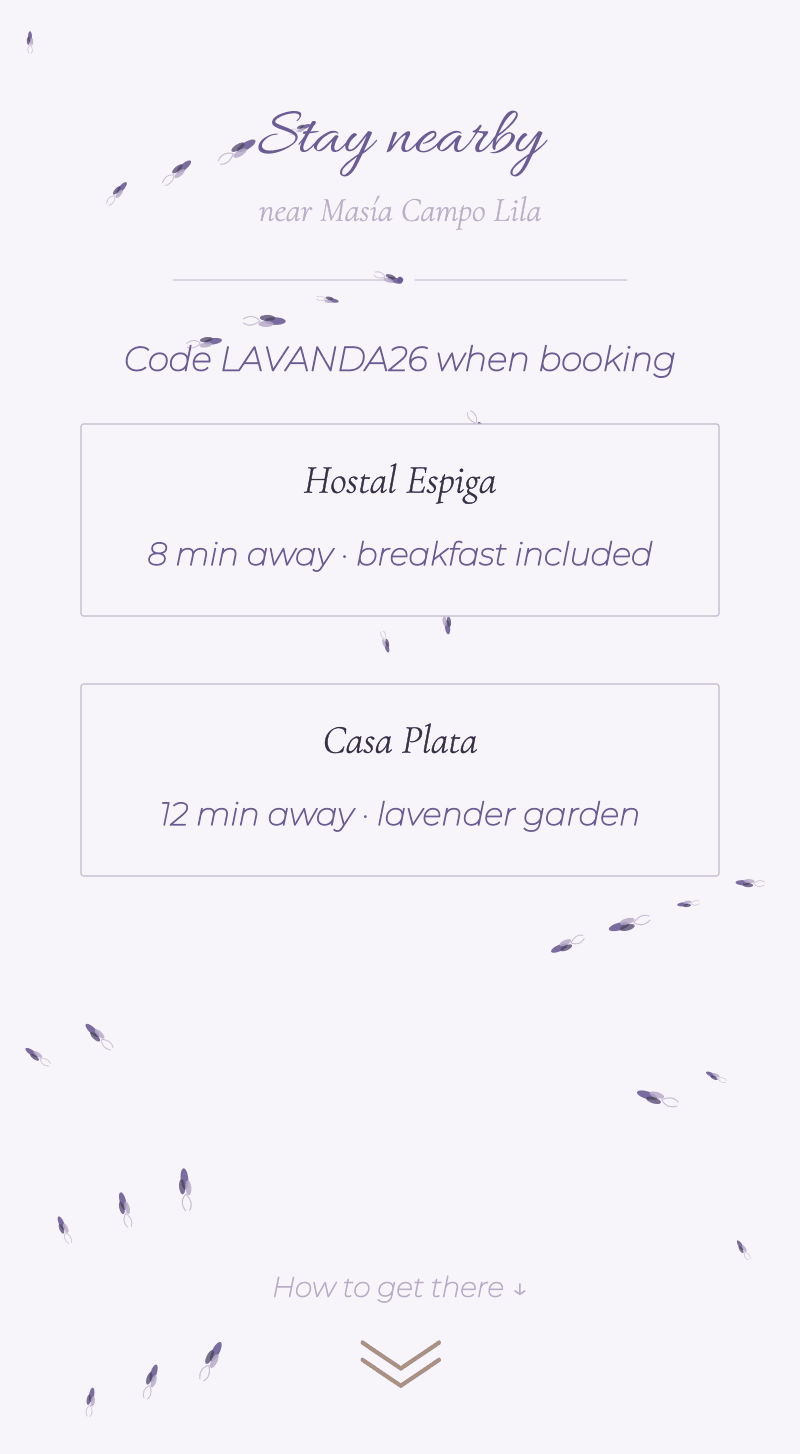 Wedding — Lavender — Stay nearby