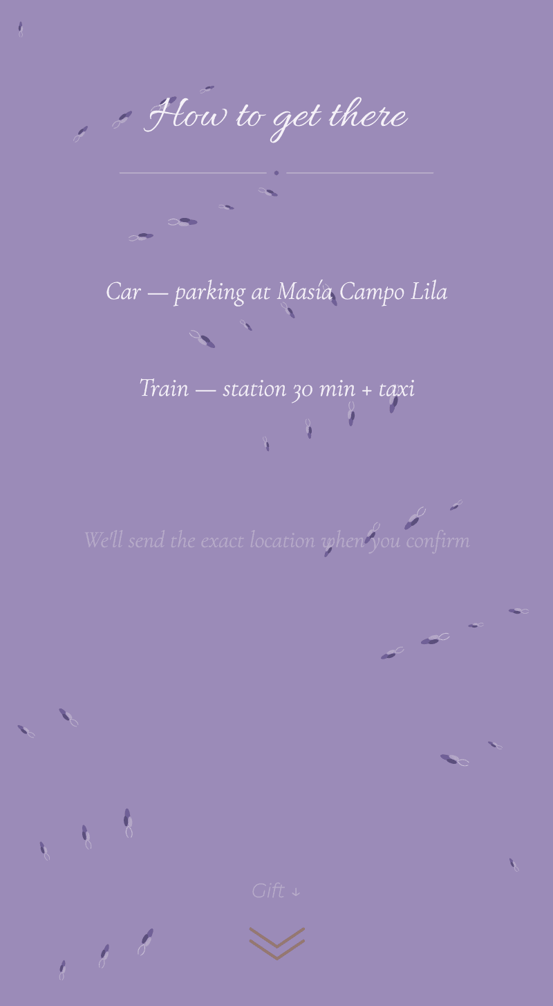 Wedding — Lavender — How to get there