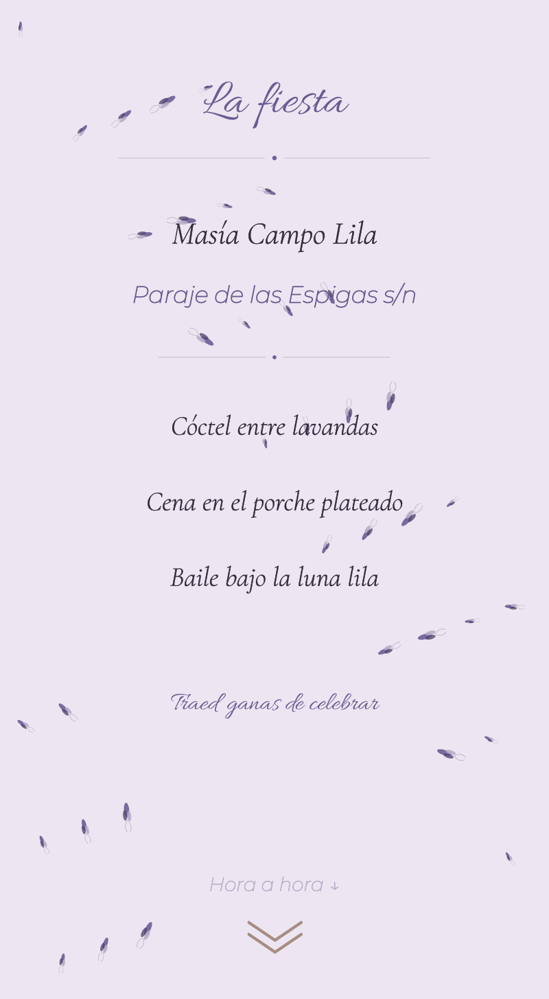 Boda — Lavanda — La fiesta