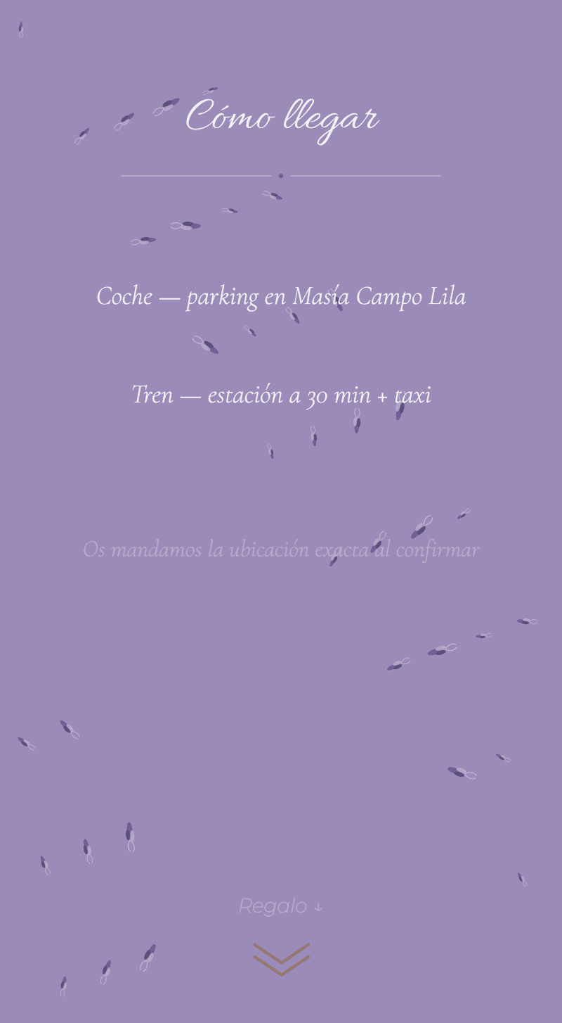 Boda — Lavanda — Cómo llegar