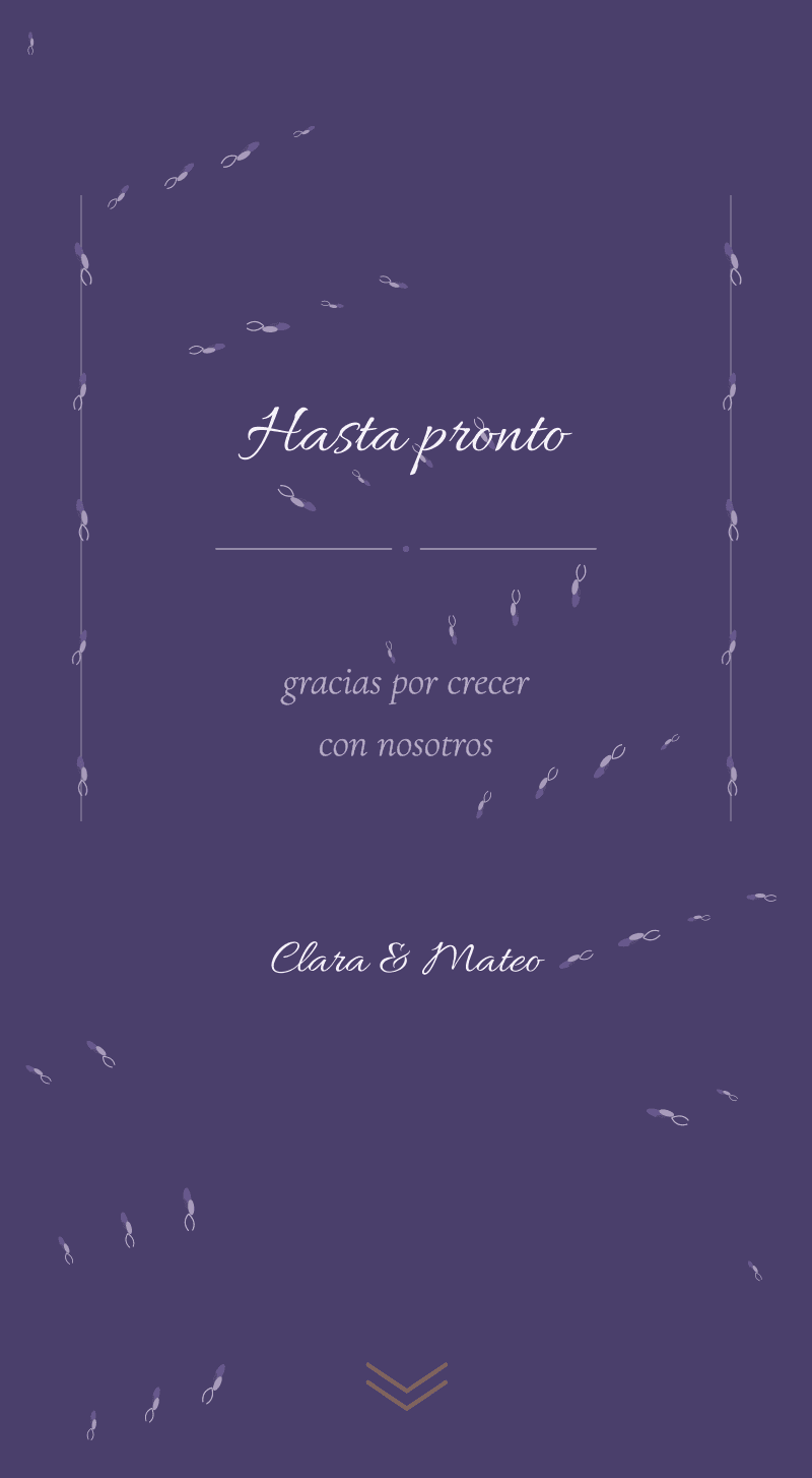 Boda — Lavanda — Hasta pronto