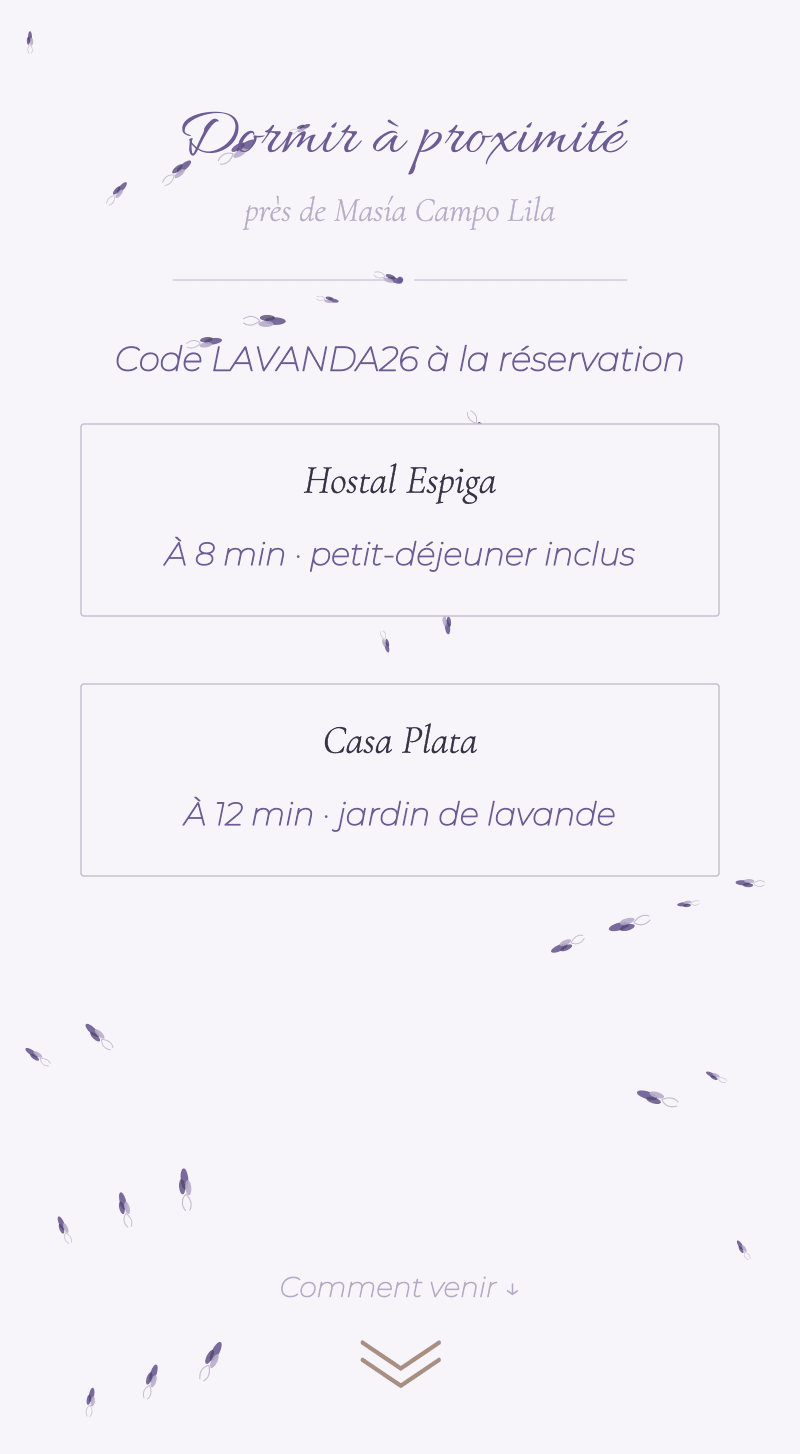 Mariage — Lavande — Dormir tout près