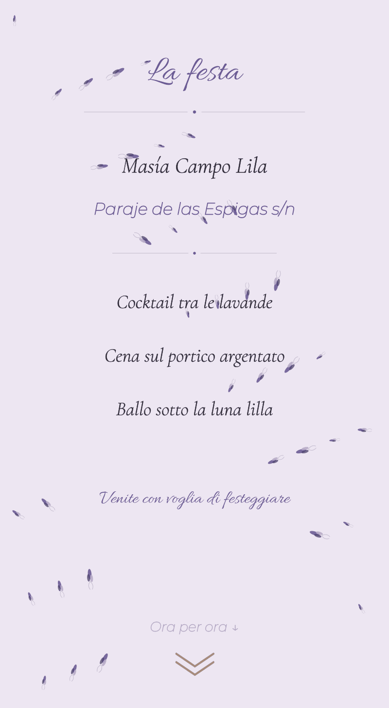 Matrimonio — Lavanda — La festa
