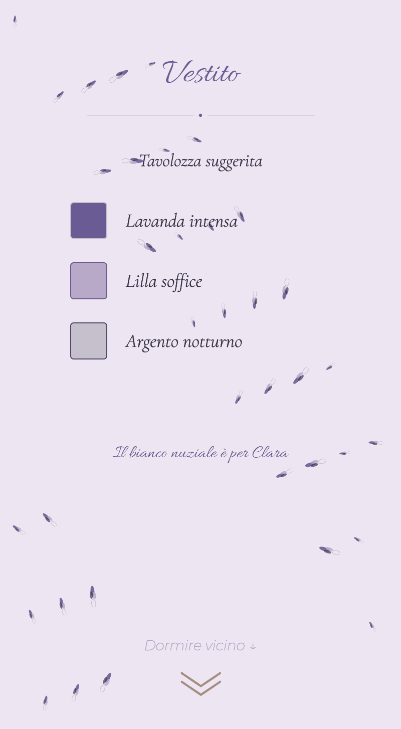 Matrimonio — Lavanda — Abbigliamento