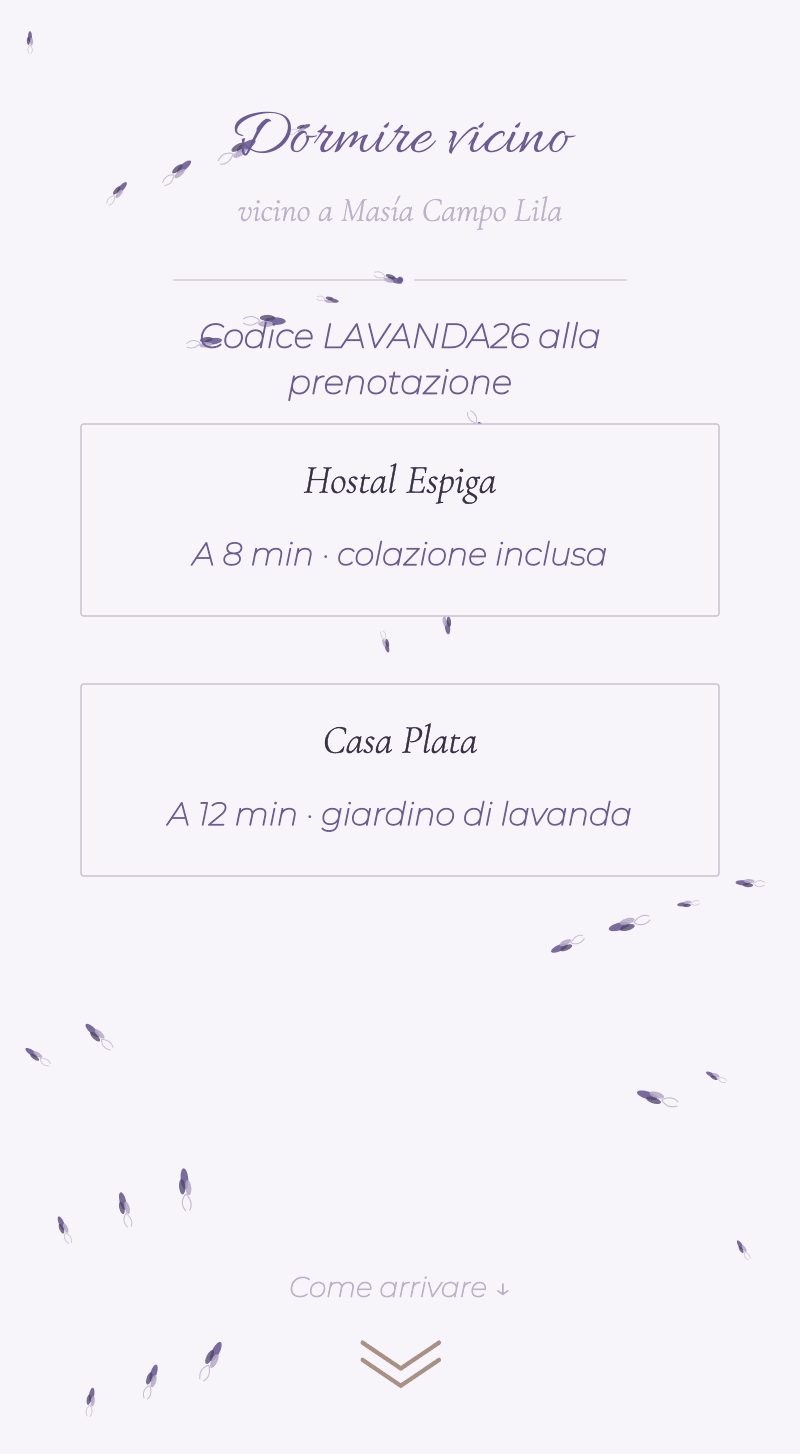 Matrimonio — Lavanda — Dormire vicino