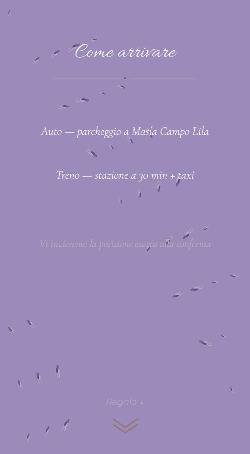 Matrimonio — Lavanda — Come arrivare