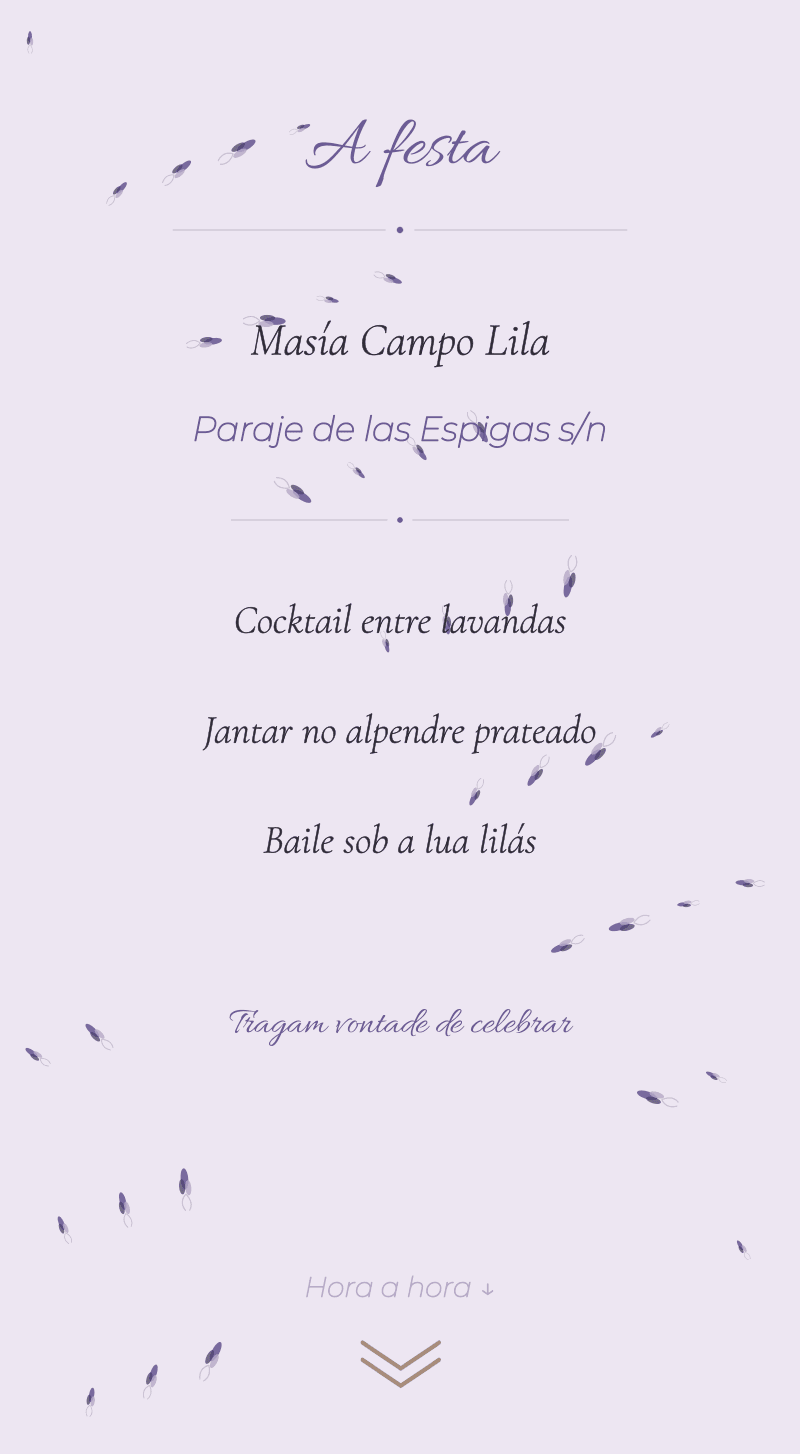Casamento — Lavanda — A festa