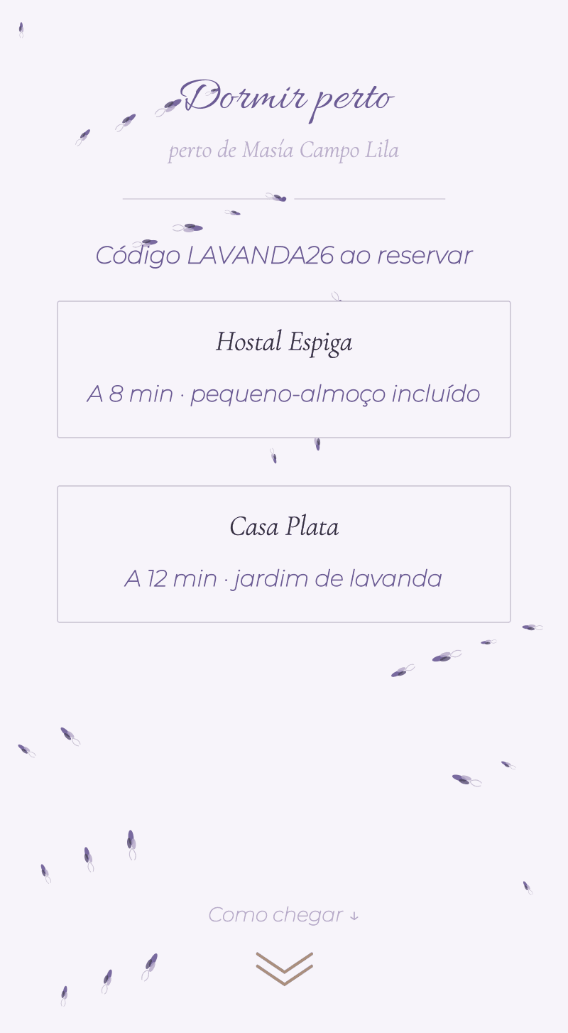 Casamento — Lavanda — Dormir perto