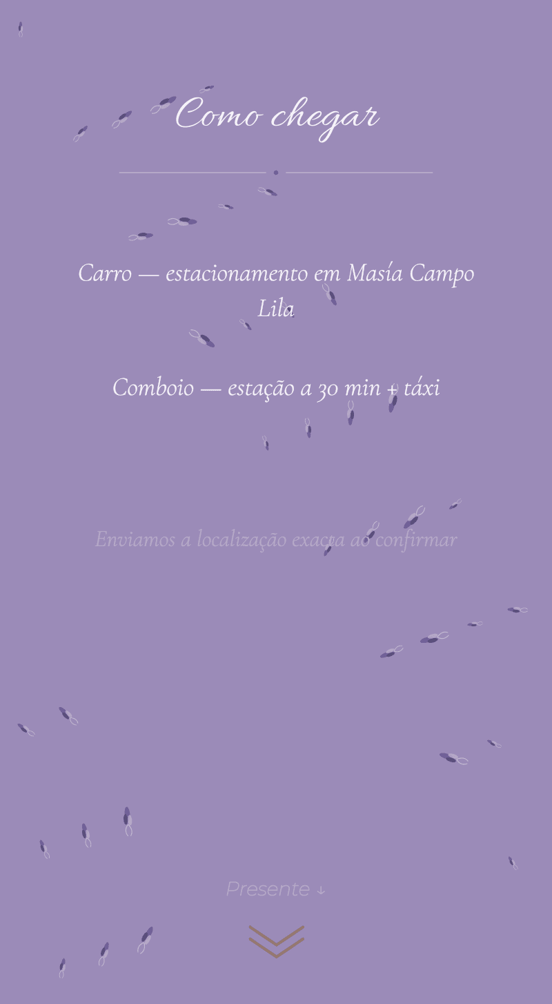 Casamento — Lavanda — Como chegar