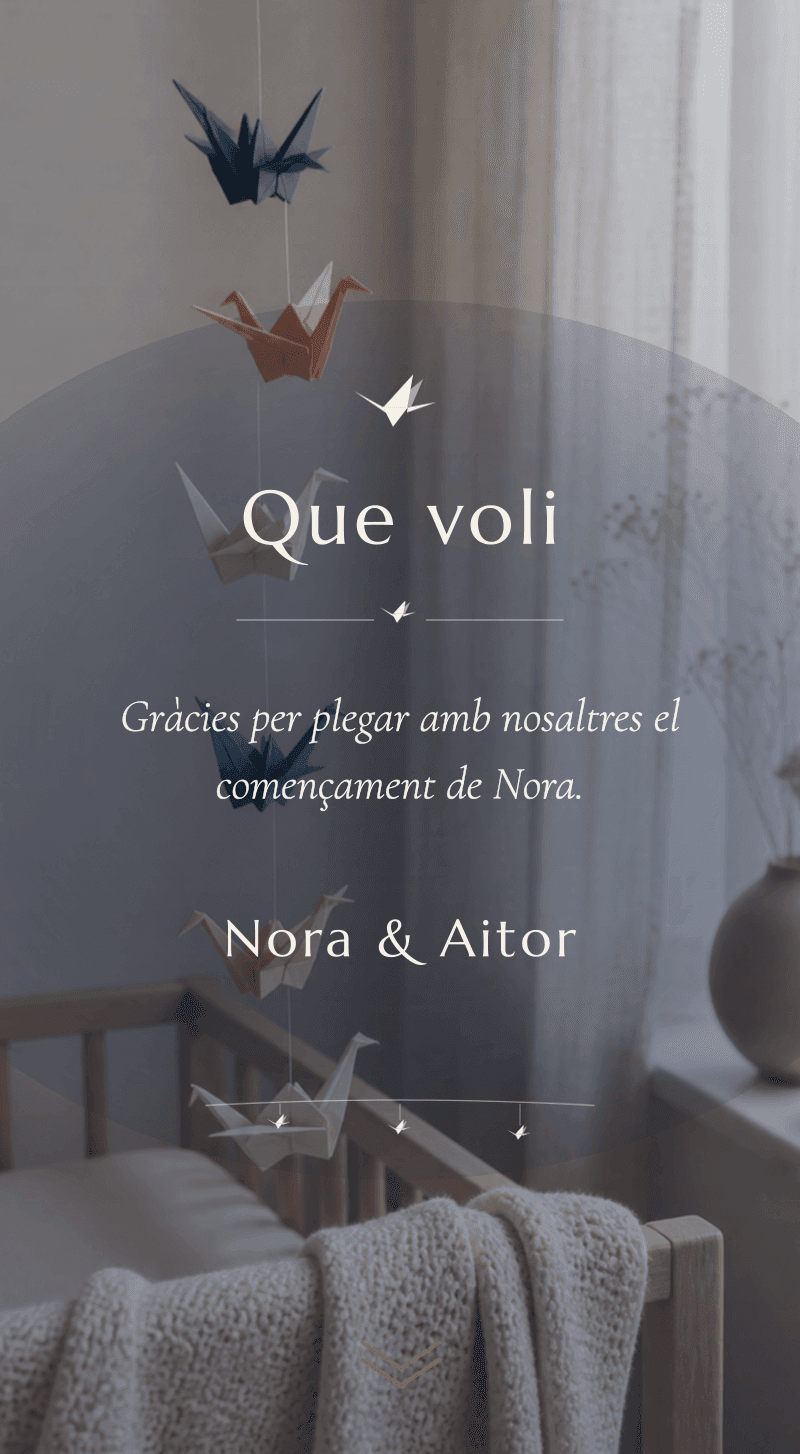 Baby Shower — Grulles de Paper — Que voli