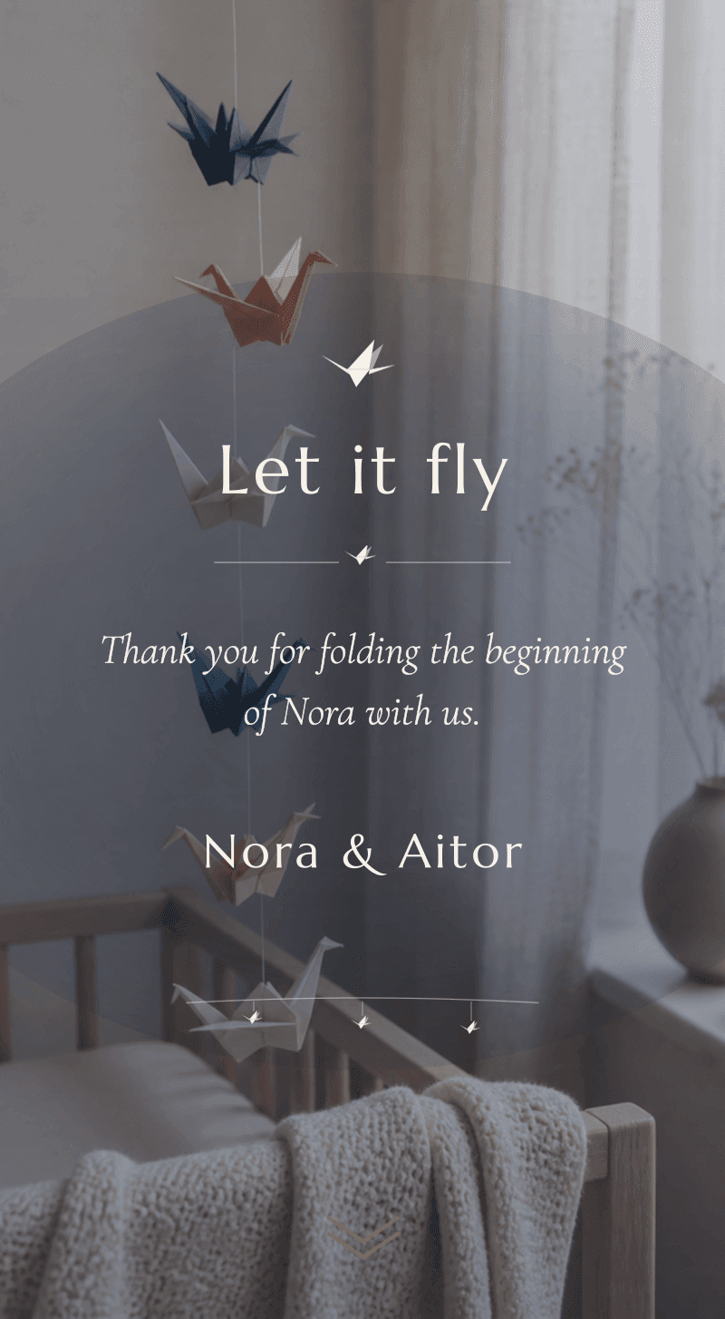 Baby Shower — Paper Cranes — Let it fly