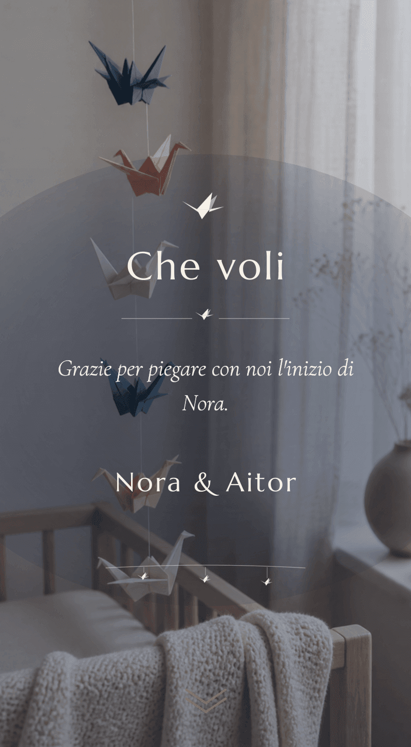 Baby Shower — Gru di Carta — Che voli