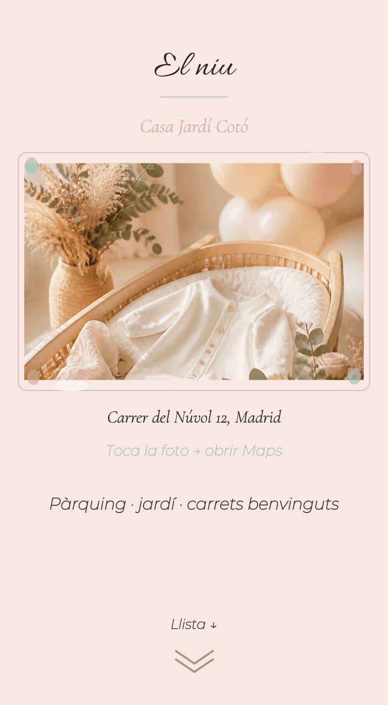 Baby Shower — Núvol de Cotó — El niu